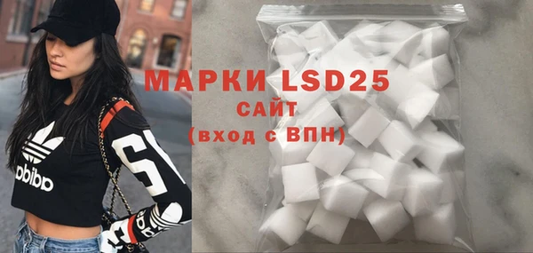 ГАЛЛЮЦИНОГЕННЫЕ ГРИБЫ Вяземский