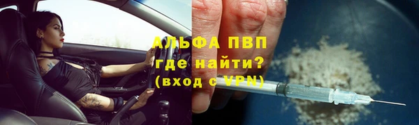 ГАЛЛЮЦИНОГЕННЫЕ ГРИБЫ Вяземский