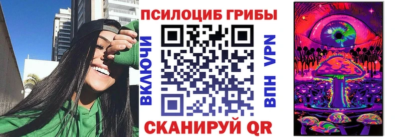 Галлюциногенные грибы Psilocybine cubensis  Печоры 